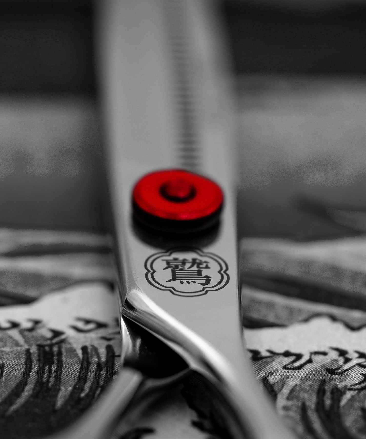 Takeshi Scissors